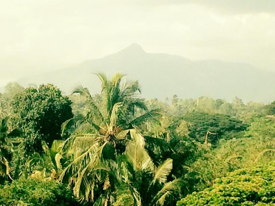 Sura Homestay Kandy Eksteriør billede